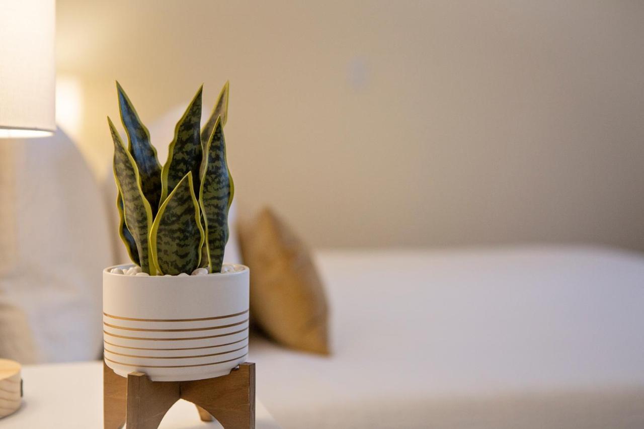 Stirling All Suites Hotel Нельсон Екстер'єр фото